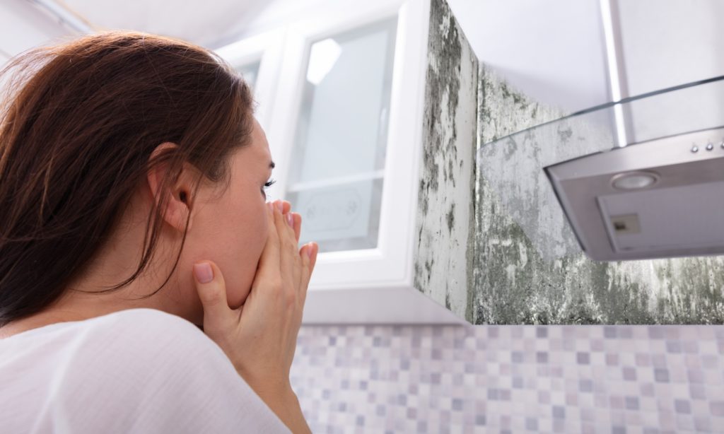 10 warning signs of mold toxicity