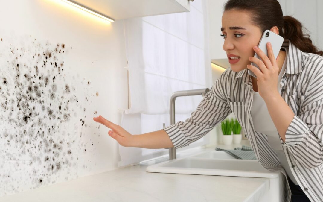 10 Warning Signs of Mold Toxicity