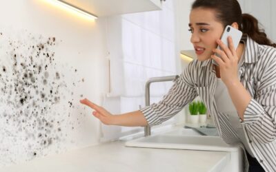 10 Warning Signs of Mold Toxicity